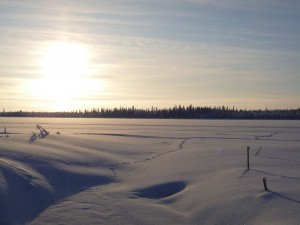 Paysage de Laponie