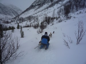 Tommy-Larsen-chiens-de-traineau