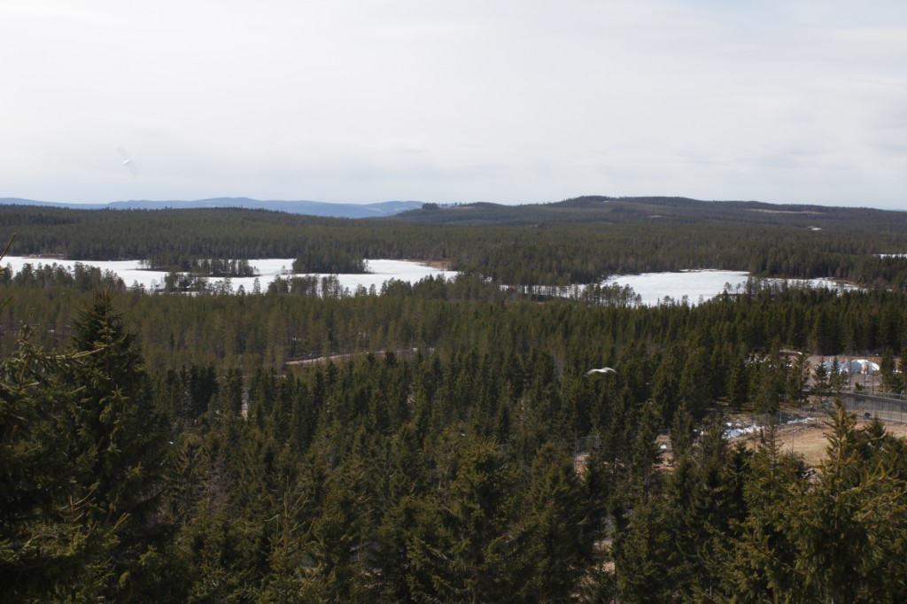 Parc aux ours, Orsa, Dalécarlie