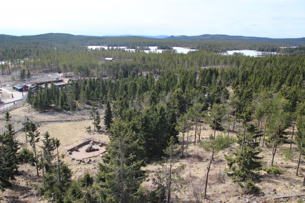 Parc aux ours, Orsa, Dalécarlie