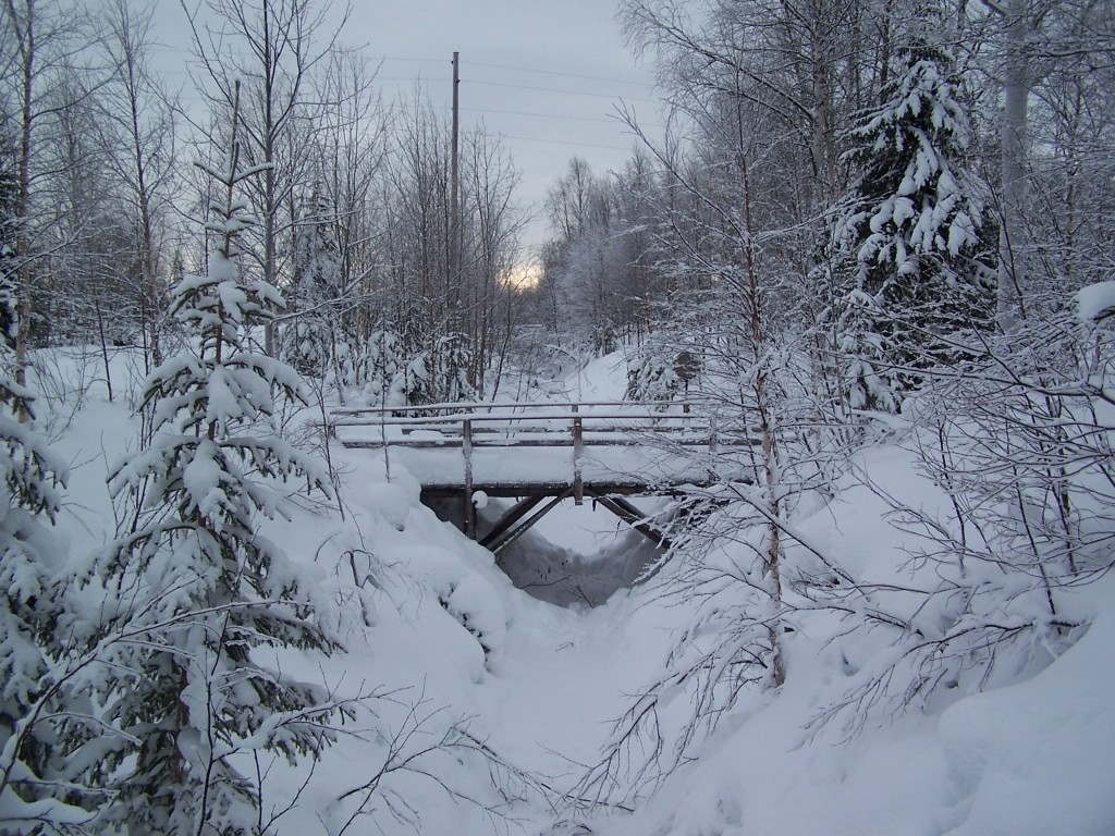 Pont en Laponie