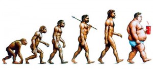 Evolution de l'humanité