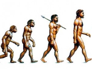 Evolution de l'humanité