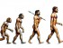 Evolution de l'humanité