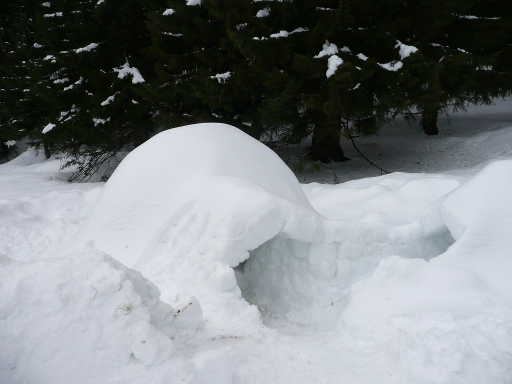 igloo survie