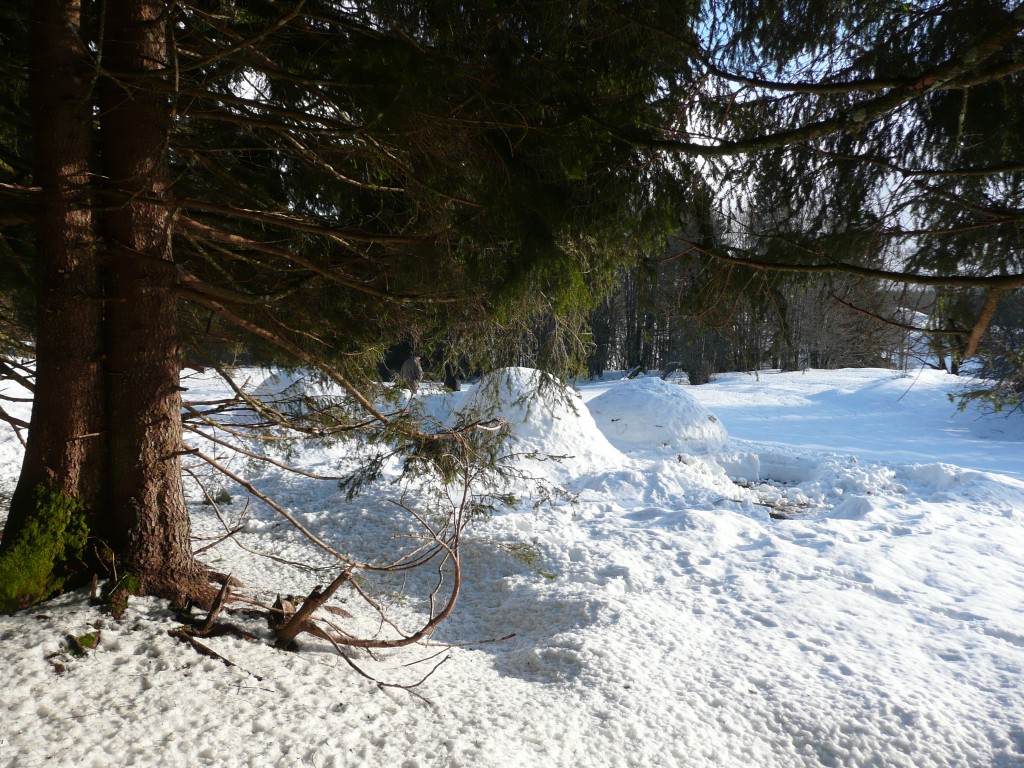 lieu du bivouac stage de survie