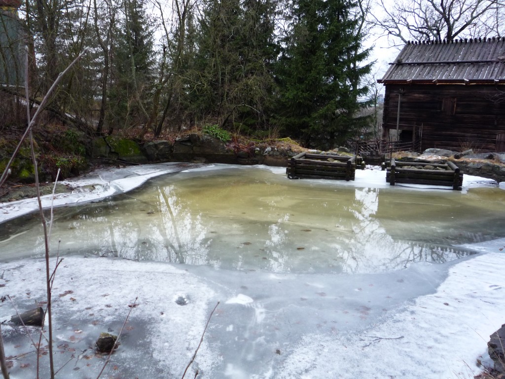 Skansen sur Djugården