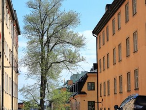 Autour de Bellmansgatan