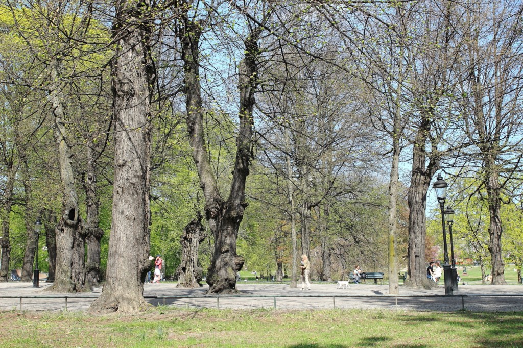 Humlegården, Stockholm