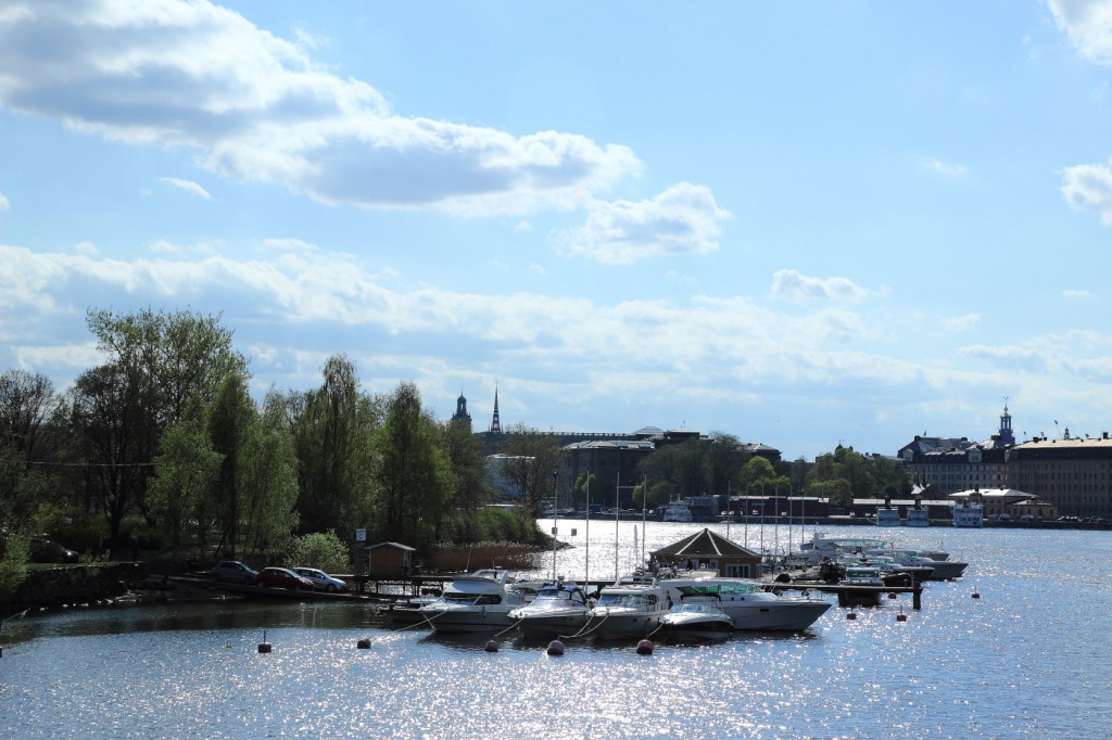 Sur Djugården