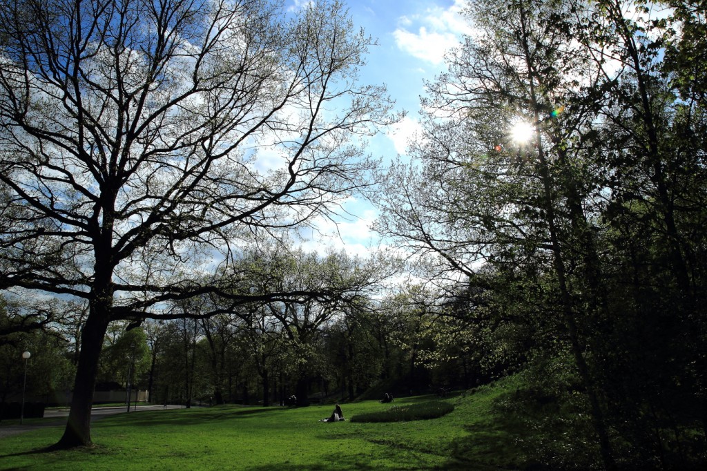 Promenade à Djugården