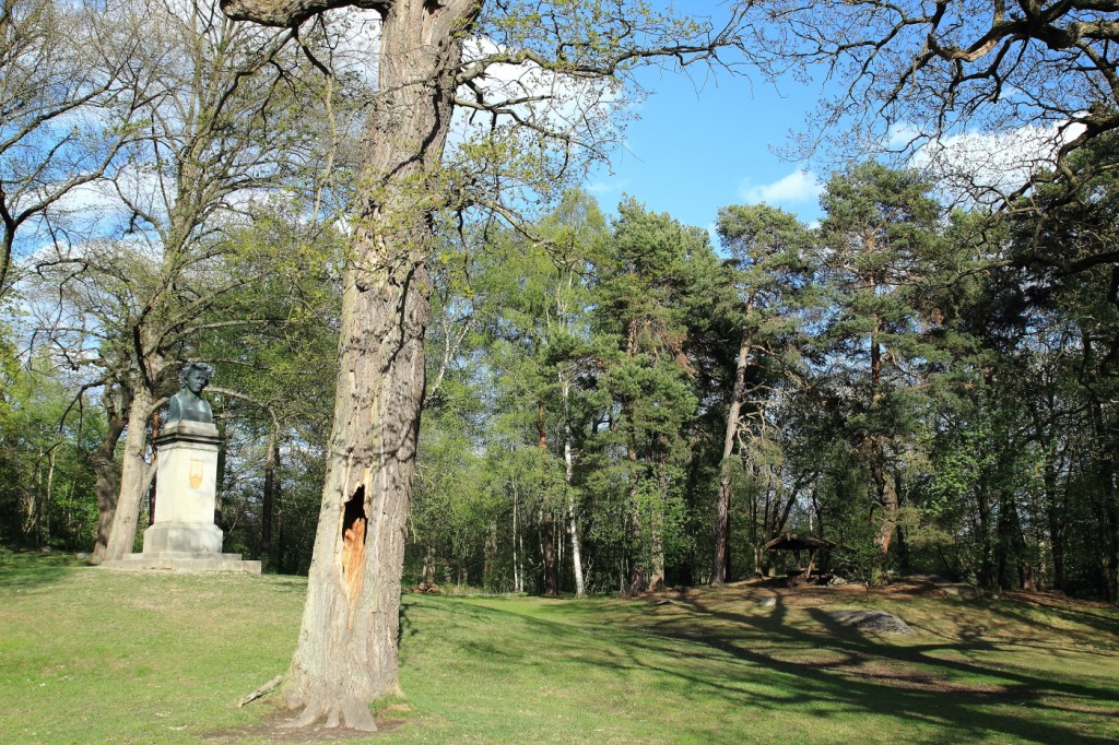 Promenade à Djugården