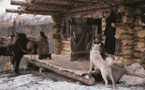 Cabane Le dernier trappeur