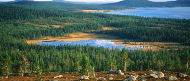 Paysages de Laponie