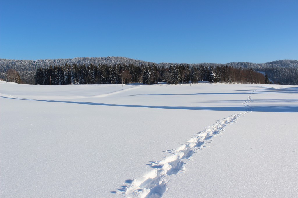 Pas dans la neige de Bellefontaine