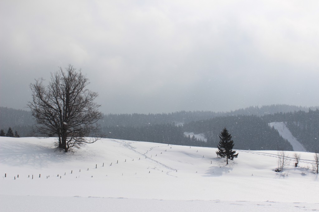 Tempete de neige a Bellefontaine