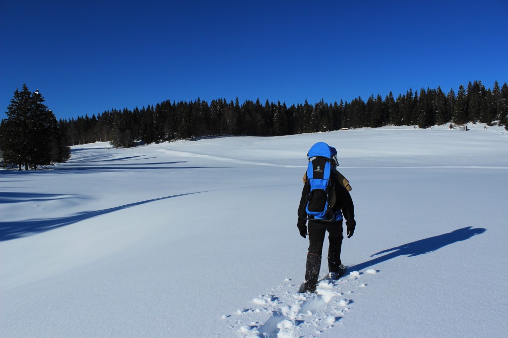 Un bébé en rando dans la neige