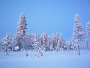 Crepuscule en Laponie