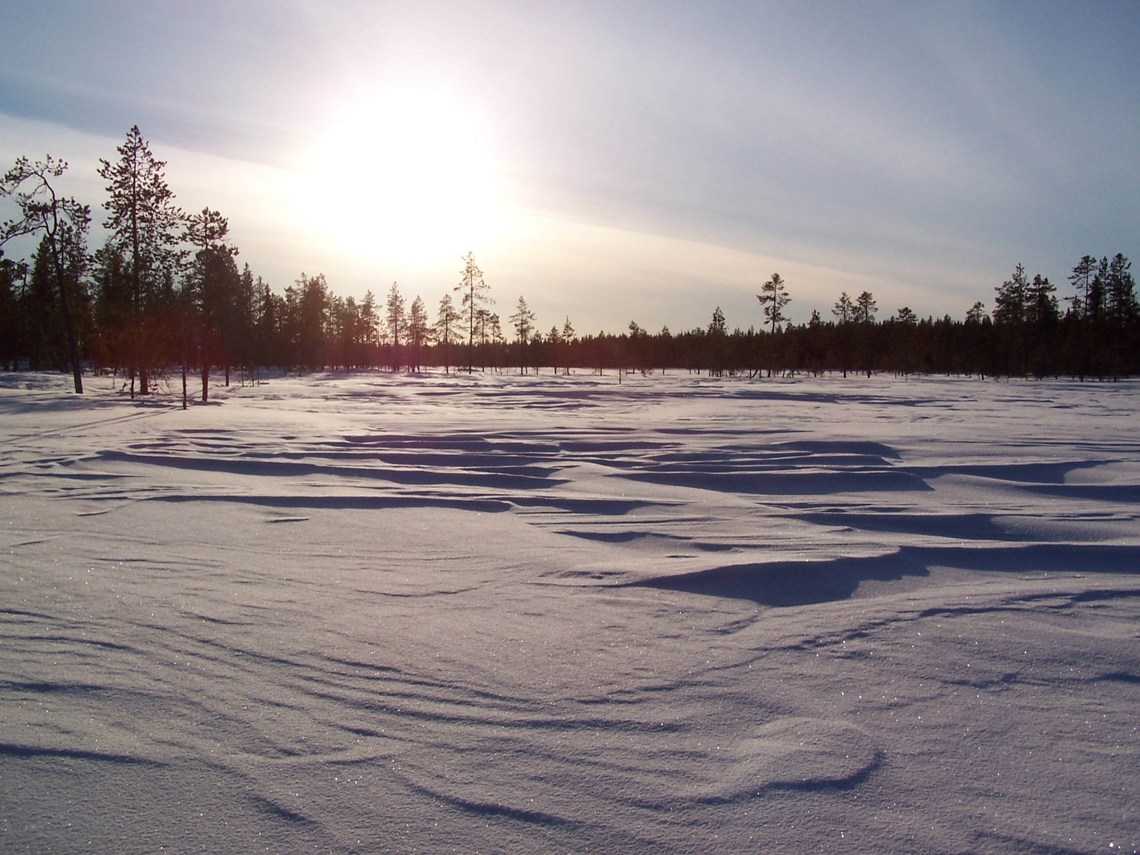 Marecages en Laponie en hiver