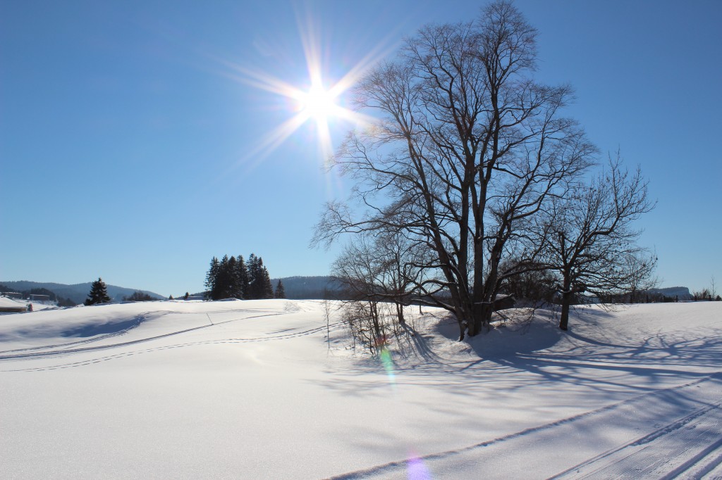 Paysage Jura