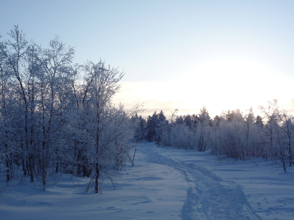 chemin de neige laponie