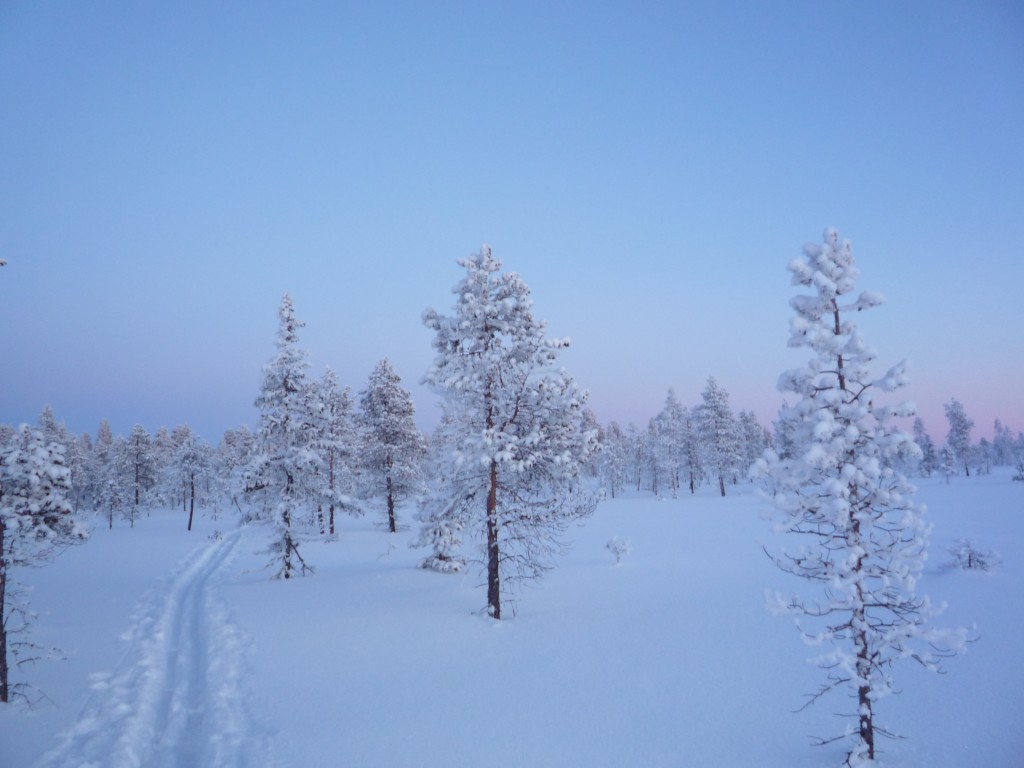 traces au crepuscule dans la neige