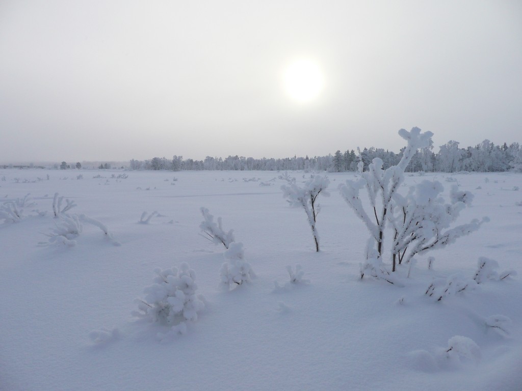 traces de glace