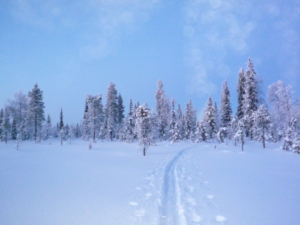 traces neige crepuscule