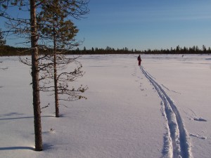 traces ski laponie