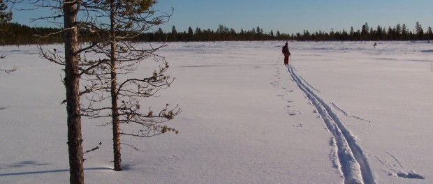 traces ski laponie