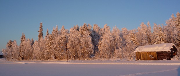 traces sur neige vers maison