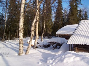 chalet perdu en laponie