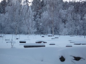 cimetière sans traces en Laponie