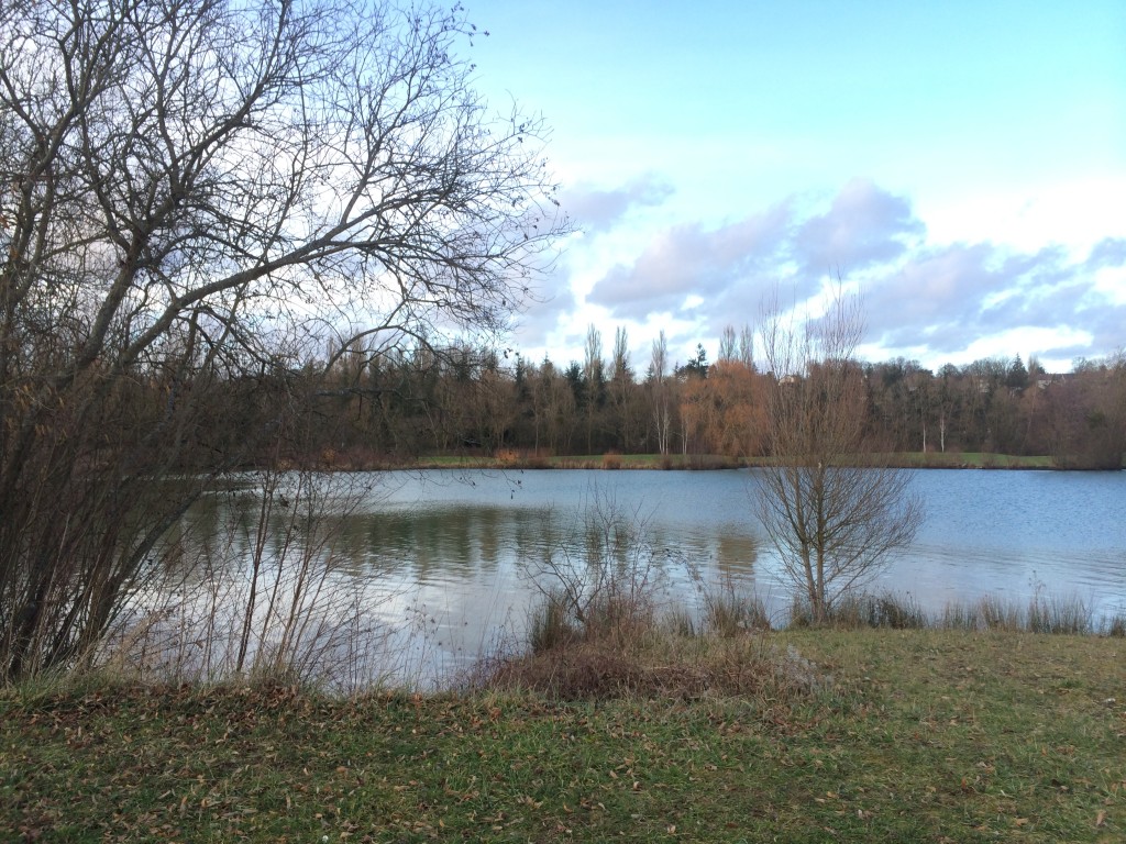 Base de loisirs Bois le roi