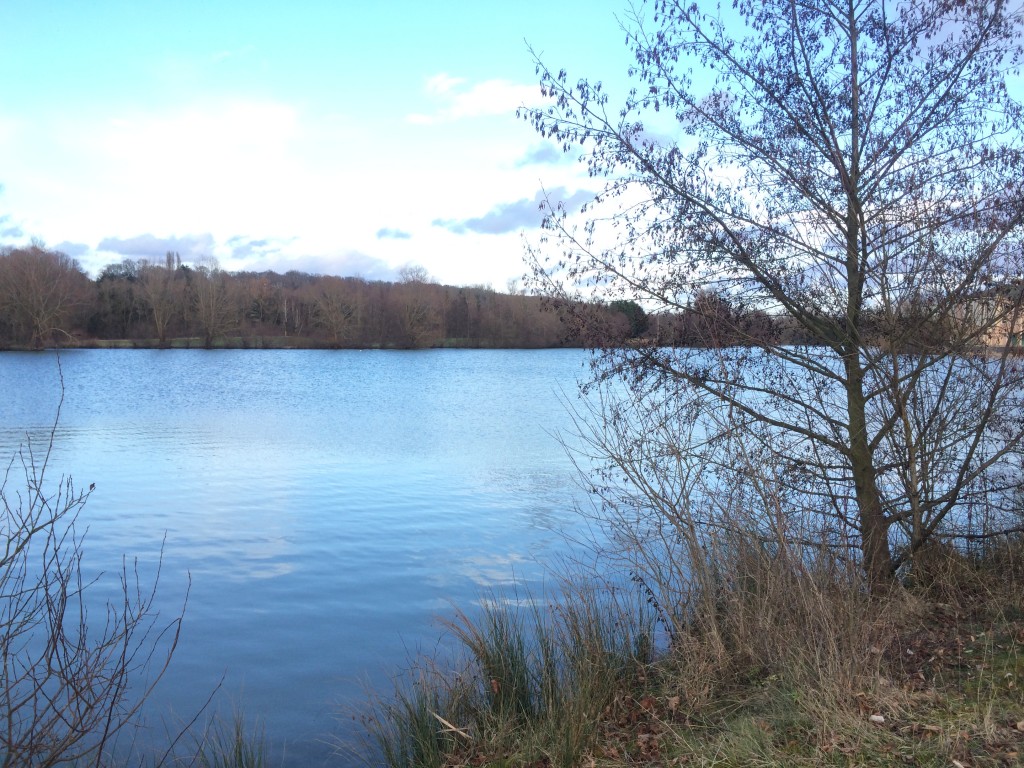 Base de loisirs Bois le roi