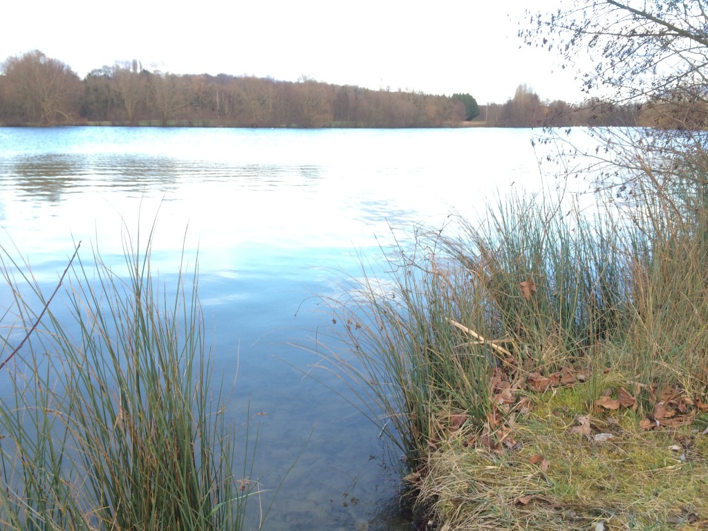 Base de loisirs Bois le roi