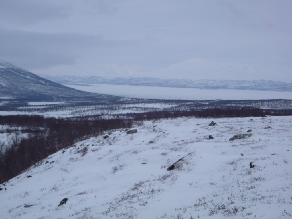 Montagnes Abisko