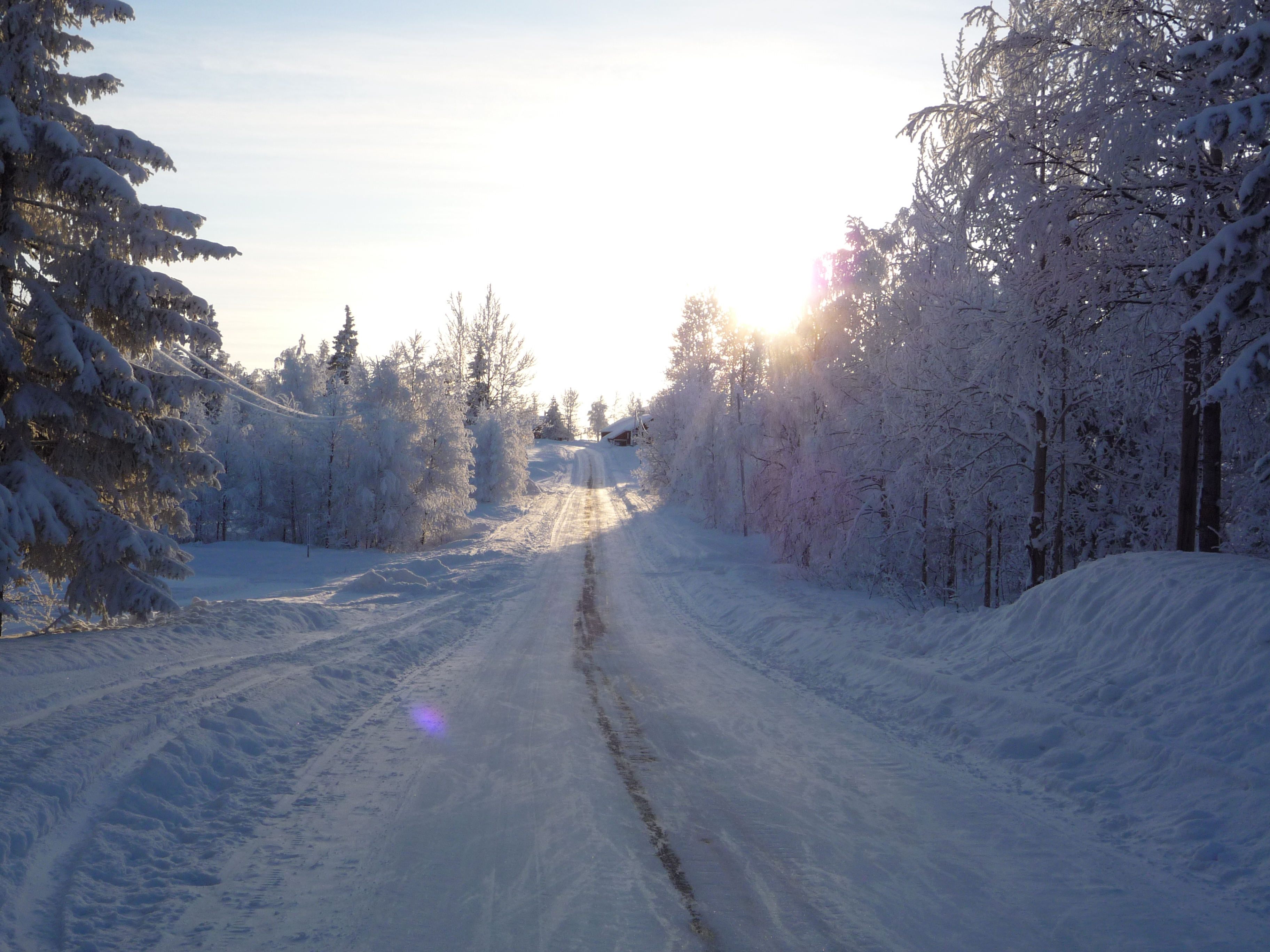 Route en Laponie
