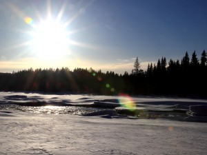 Sur le bord de la rivière Kalix en Laponie