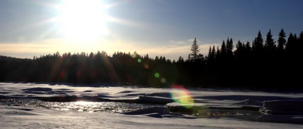 Sur le bord de la rivière Kalix en Laponie