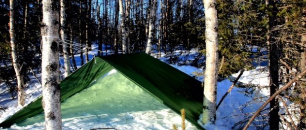 Tarp canadienne