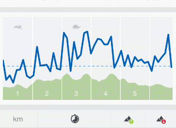 Runtastic - sortie Forêt de Fontainebleau