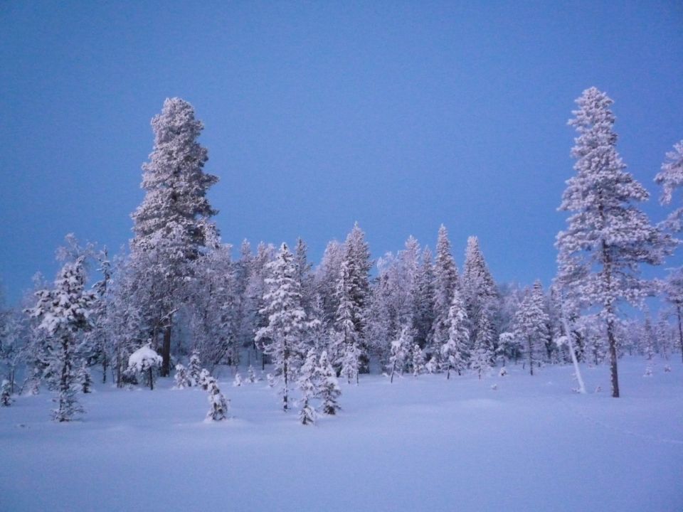 fin de journée pendant randonnée en ski en Laponie