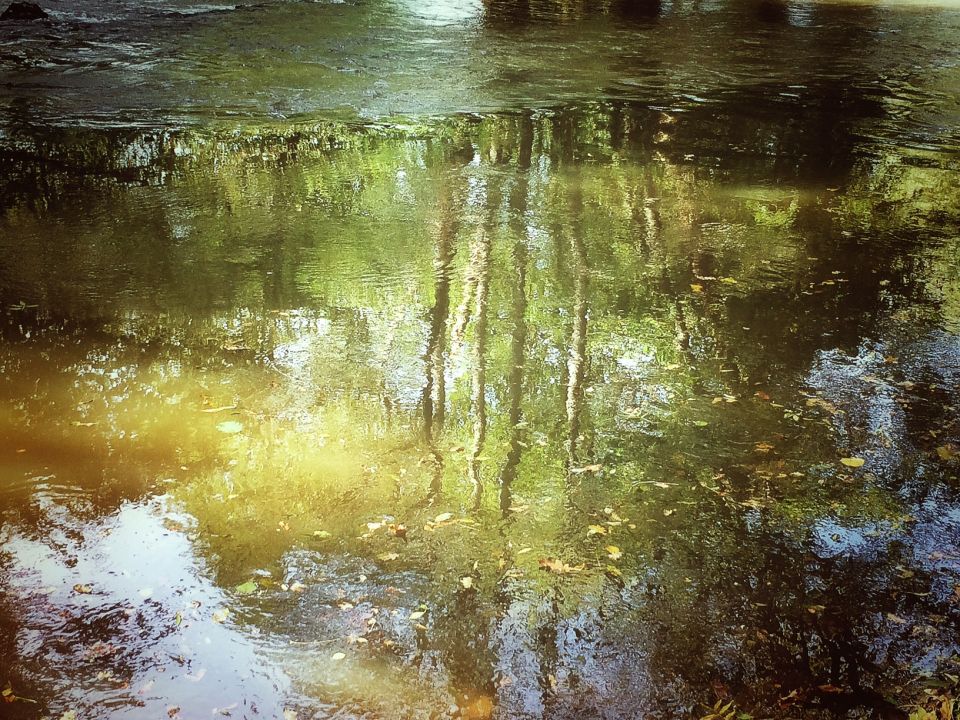 Indre dans le Berry photo et reflets dans le rivière
