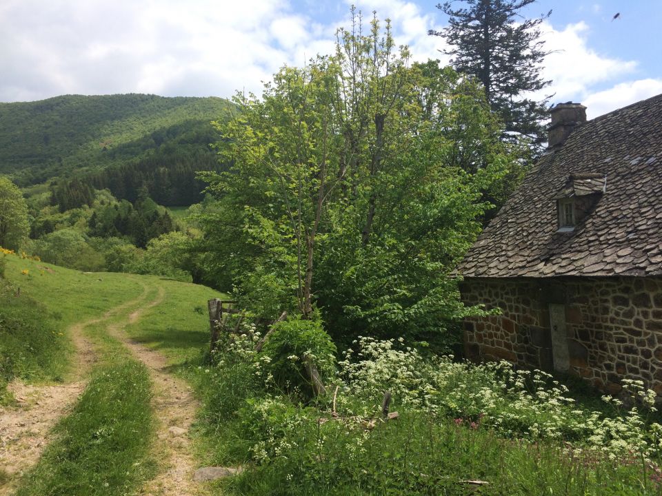 maison perdue campagne cantal
