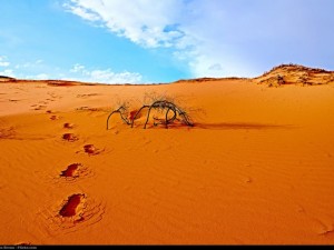 Desert Utah (c) Moyan Brenn