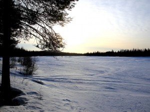 Laponie camp parakka