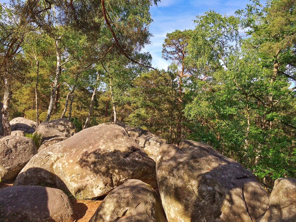 Rocher Canon en Forêt de Fontainebleau