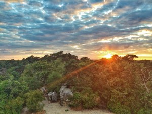 Coucher de soleil sur Forêt de Fontainebleau