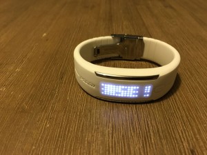 Polar Loop 2